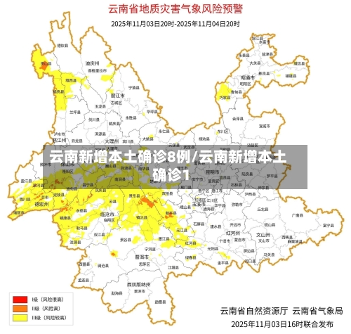 云南新增本土确诊8例/云南新增本土确诊1