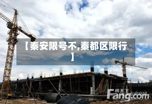 【秦安限号不,秦都区限行】