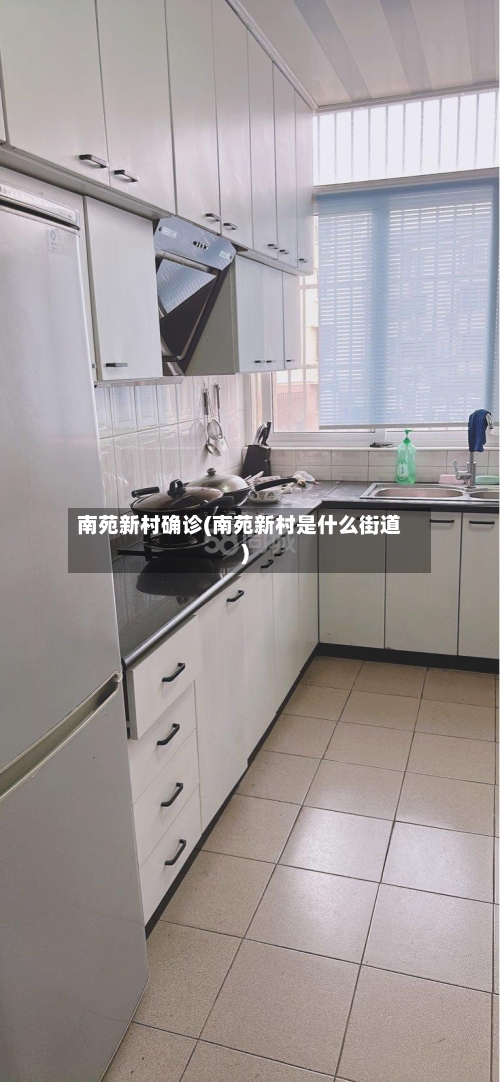 南苑新村确诊(南苑新村是什么街道)