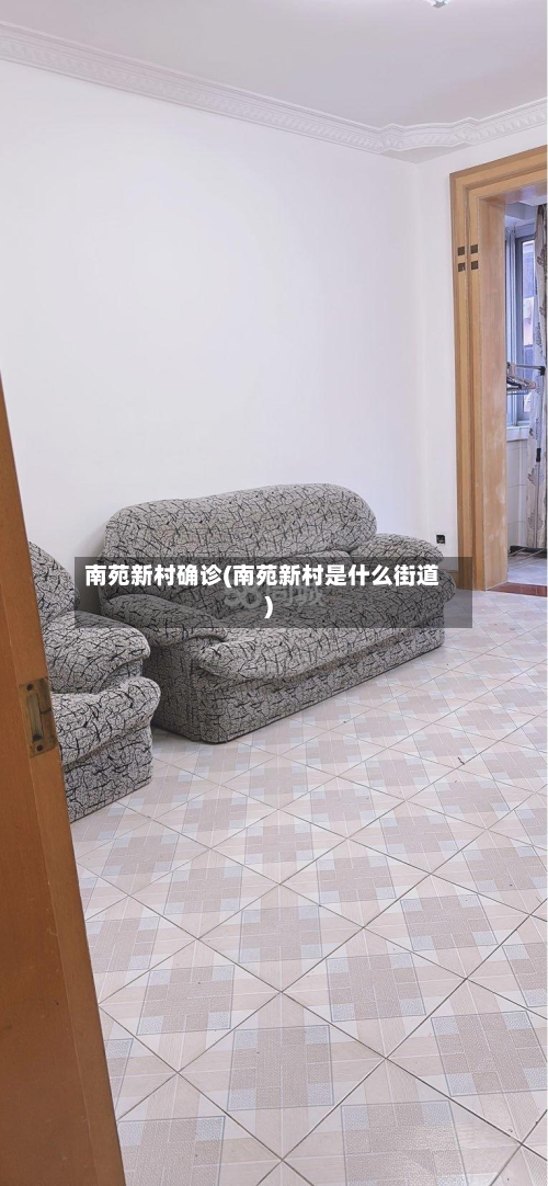 南苑新村确诊(南苑新村是什么街道)