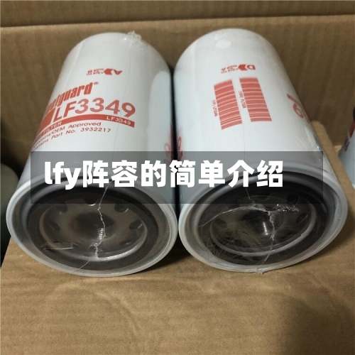 lfy阵容的简单介绍