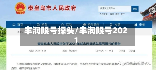 丰润限号探头/丰润限号2021