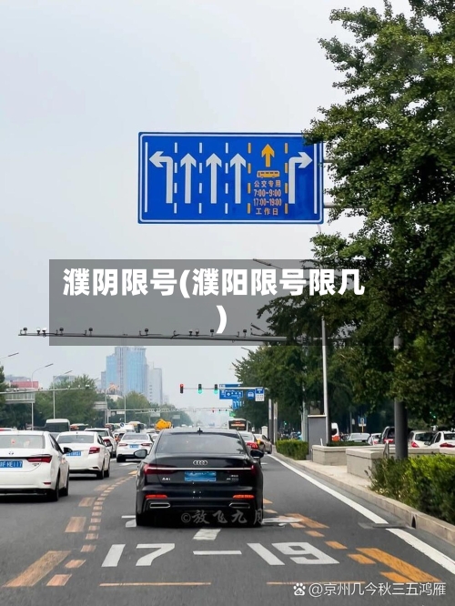 濮阴限号(濮阳限号限几)