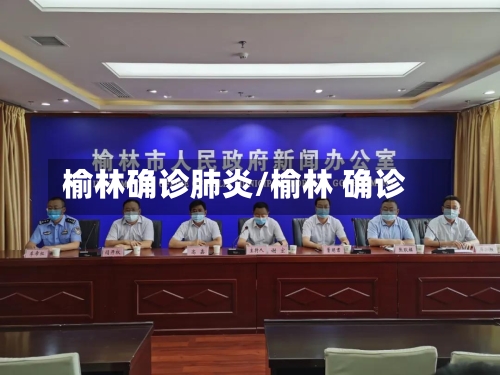 榆林确诊肺炎/榆林 确诊