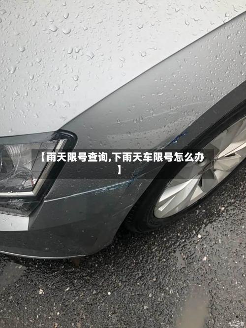 【雨天限号查询,下雨天车限号怎么办】