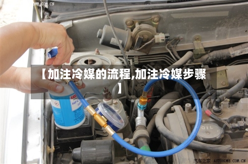【加注冷媒的流程,加注冷媒步骤】