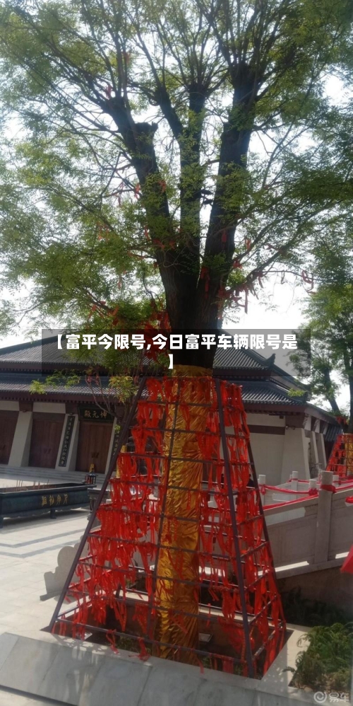 【富平今限号,今日富平车辆限号是】