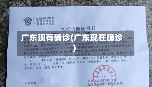 广东现有确诊(广东现在确诊)