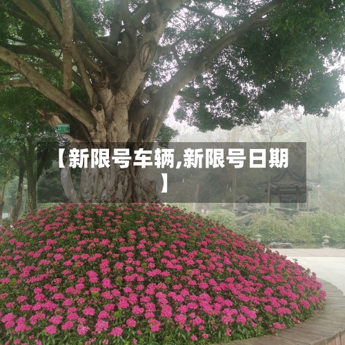 【新限号车辆,新限号日期】