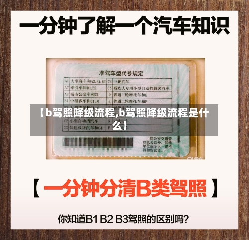 【b驾照降级流程,b驾照降级流程是什么】