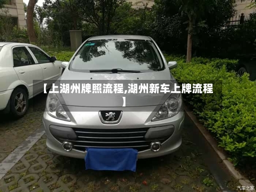 【上湖州牌照流程,湖州新车上牌流程】