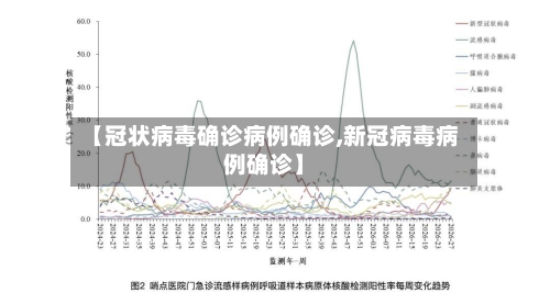 【冠状病毒确诊病例确诊,新冠病毒病例确诊】