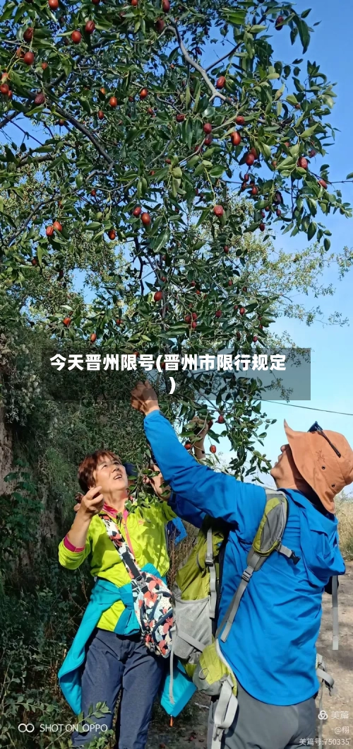 今天晋州限号(晋州市限行规定)
