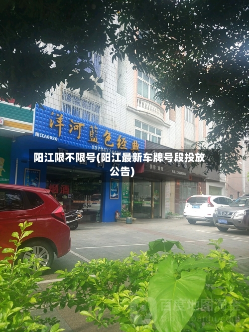 阳江限不限号(阳江最新车牌号段投放公告)