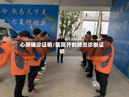 心肺确诊证明/医院开的肺炎诊断证明