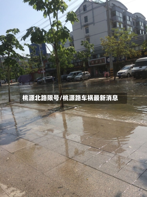 桃源北路限号/桃源路车祸最新消息