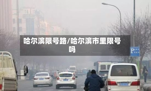 哈尔滨限号路/哈尔滨市里限号吗