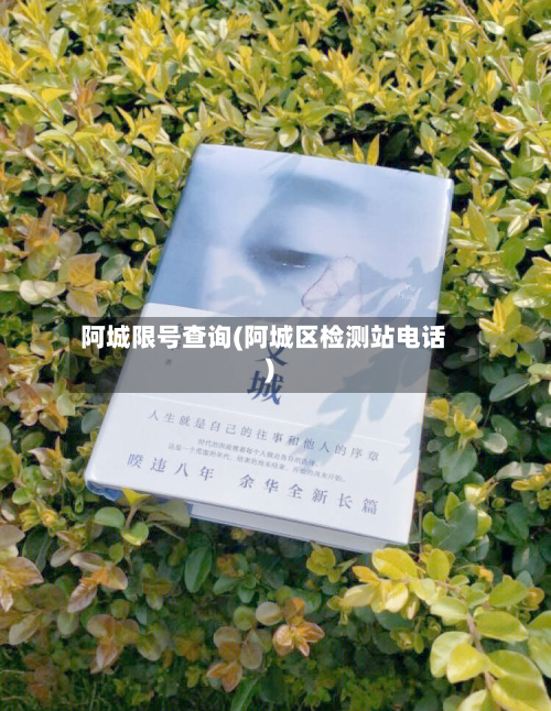 阿城限号查询(阿城区检测站电话)