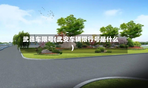 武邑车限号(武安车辆限行号是什么)