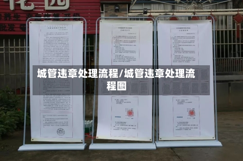 城管违章处理流程/城管违章处理流程图