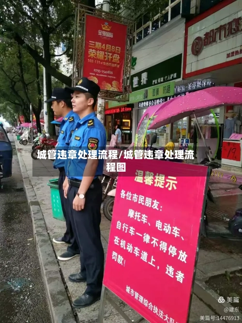 城管违章处理流程/城管违章处理流程图