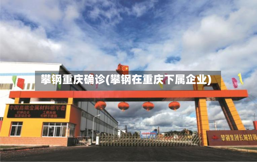 攀钢重庆确诊(攀钢在重庆下属企业)
