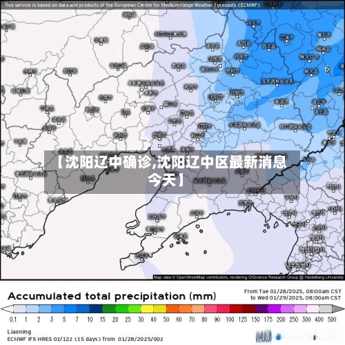 【沈阳辽中确诊,沈阳辽中区最新消息今天】