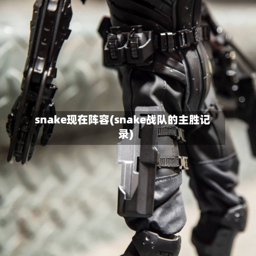snake现在阵容(snake战队的主胜记录)