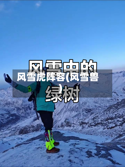 风雪虎阵容(风雪兽)